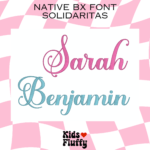 Solidaritas Native BX Font